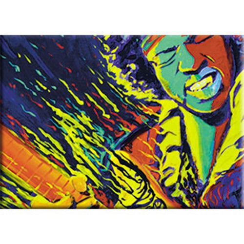Jimi Hendrix Pop Art Magnet 