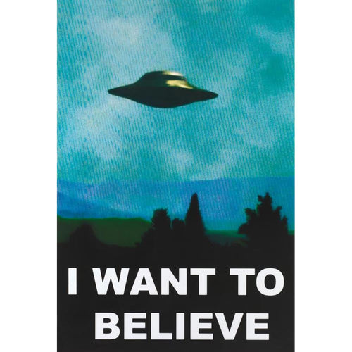 X-Files I Want To Believe Poster - 24 In x 36 In