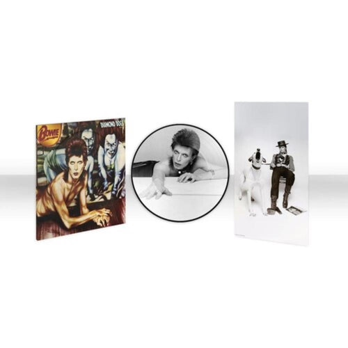 David Bowie - Diamond Dogs (50th Anniversary Picture Disc) - Vinyl LP