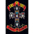 Guns N Roses Appetite For Destruction Album Cover Poster 24 In x 36 In Posters & Prints