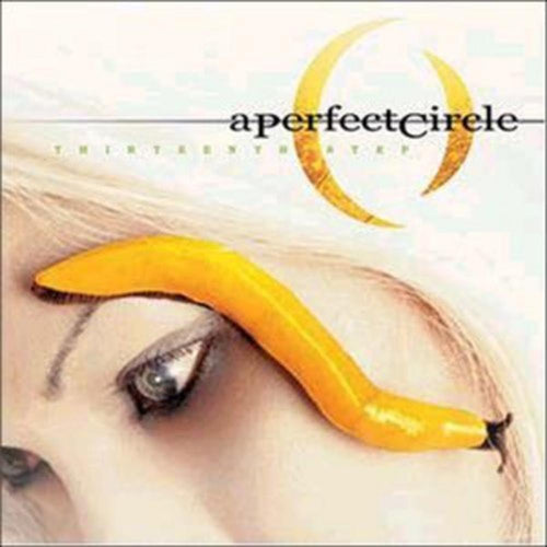 A Perfect Circle - Thirteenth Step - Vinyl LP