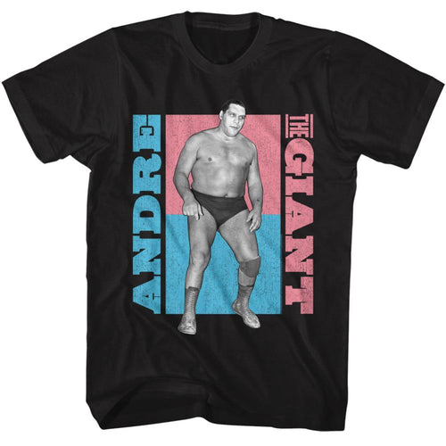 Andre The Giant Atg Color Blocks Adult Short-Sleeve T-Shirt