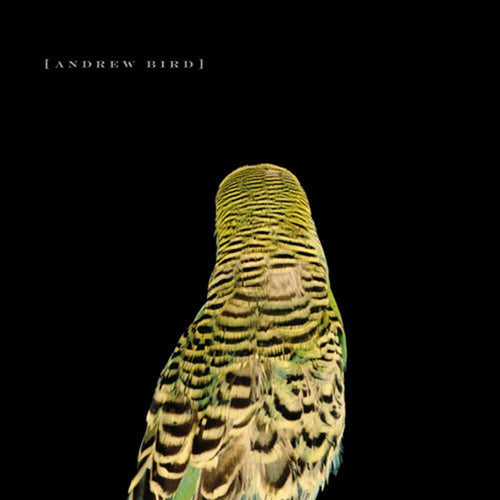 Andrew Bird - Armchair Apocrypha - Vinyl LP
