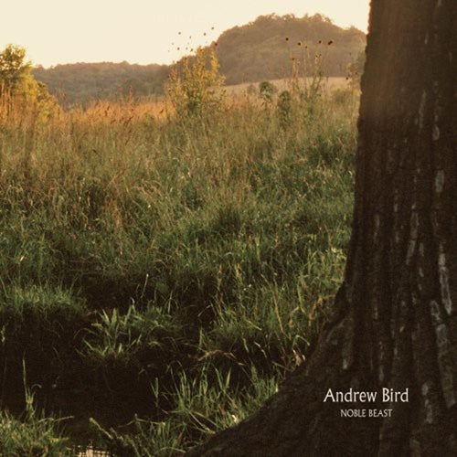 Andrew Bird - Noble Beast - Vinyl LP