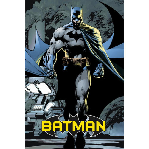 Batman Dark Knight Poster - 24 In x 36 In
