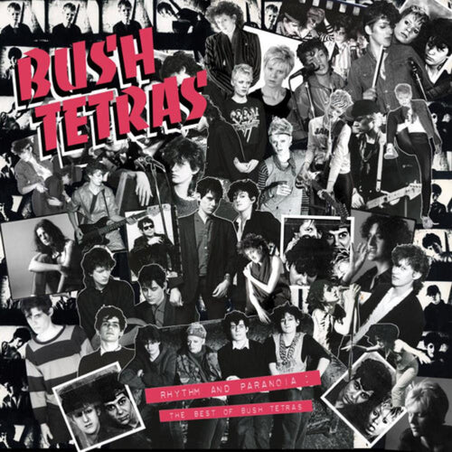 Bush Tetras - Rhythm & Paranoia: The Best Of Bush Tetras - Vinyl LP