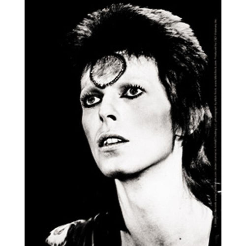 David Bowie Black And White Sticker