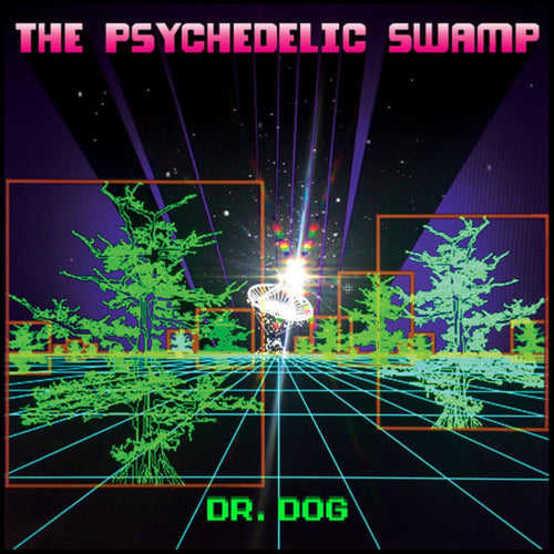 Dr Dog - Psychedelic Swamp - Vinyl LP