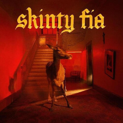 Fontaines D.C. - Skinty Fia - Vinyl LP