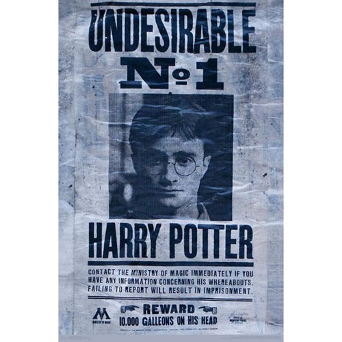 Harry Potter Undesirable Poster - 22 In x 34 In
