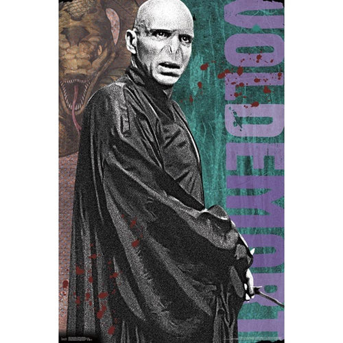 Harry Potter Voldemort Poster - 22 In x 34 In