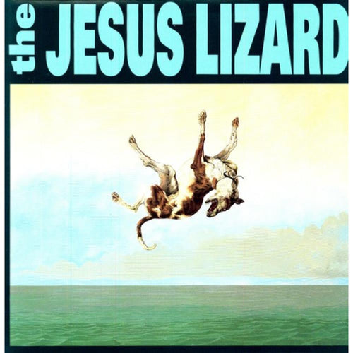 Jesus Lizard - Down - Vinyl LP