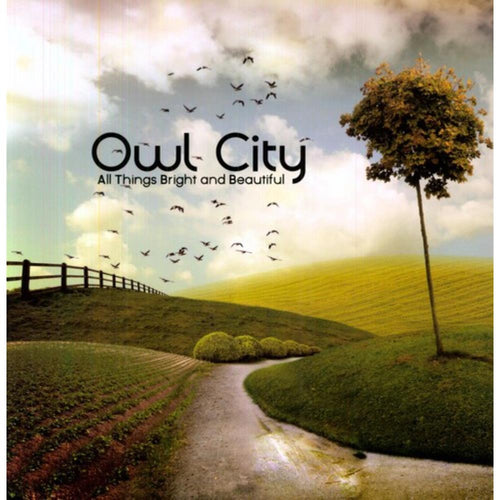 Owl City - All Things Bright & Beautiful - Vinyl LP