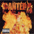 Pantera - Reinventing The Steel - Vinyl LP