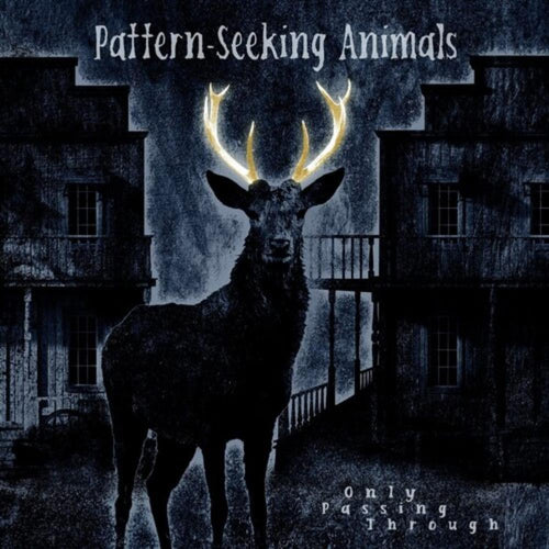 Pattern-Seeking Animals - Only Passing Through - Vinyl LP