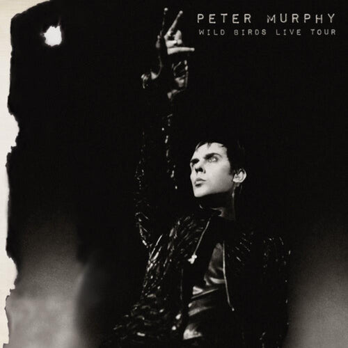 Peter Murphy - Wild Birds Live Tour (Purple & Black) - Vinyl LP