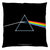 Pink Floyd Dark Side Of The Moon Throw Pillow