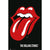 Rolling Stones Tongue Logo (Original) Poster - 24 In x 36 In Posters & Prints
