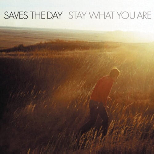 Saves The Day - Stay What You Are - Vinyl LP