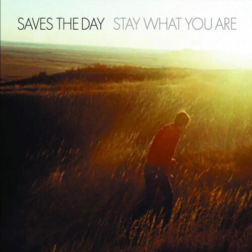 Saves The Day - Stay What You Are - Vinyl LP