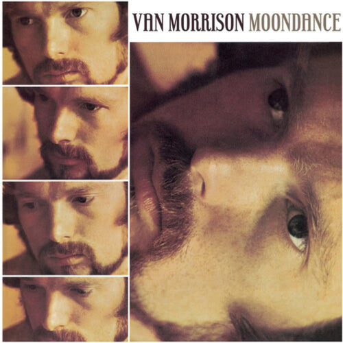 Van Morrison - Moondance - Vinyl LP