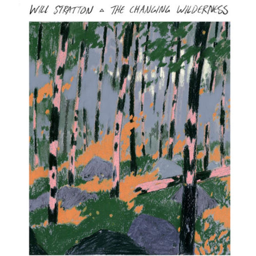 Will Stratton - Changing Wilderness - Vinyl LP